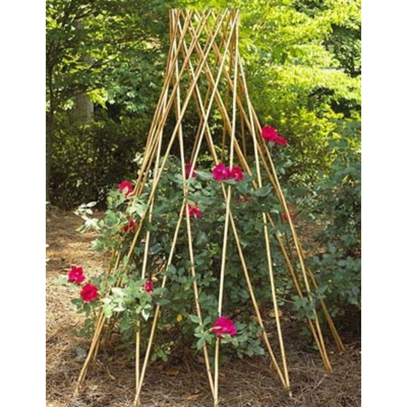 MGP Willow Wood Expanding Trellis & Reviews Wayfair